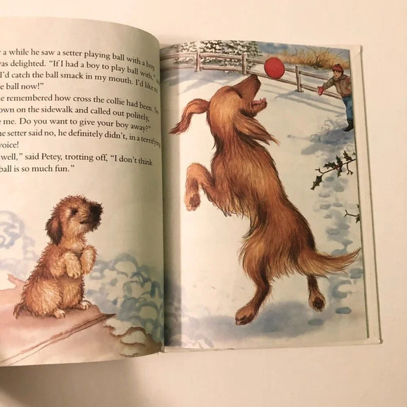 Vintage  1985 The Puppy Who Wanted a Boy By Jane Thayer Hardcover - Picture 9 of 13